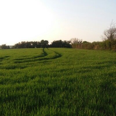 A view up Cleet Hill near Ravensden